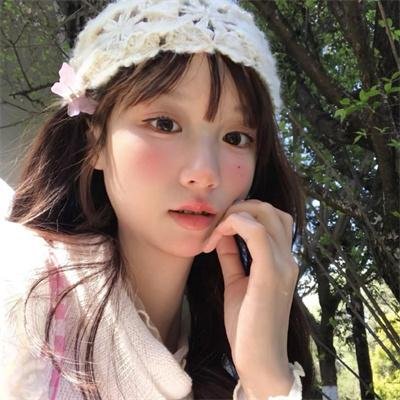 风筝再次飞起